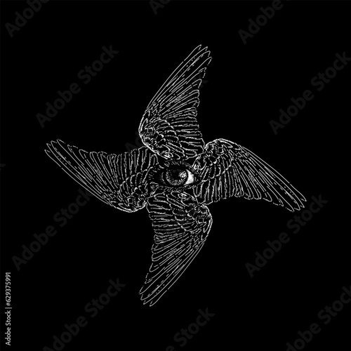 wings and eye hand drawing vector isolated on black background. © tya studio