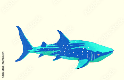 illustration of shark