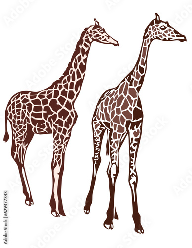 Canvas Print giraffes vector illustrations