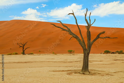 Dead trees in the dramatic landscape of Deadvlei Namibia