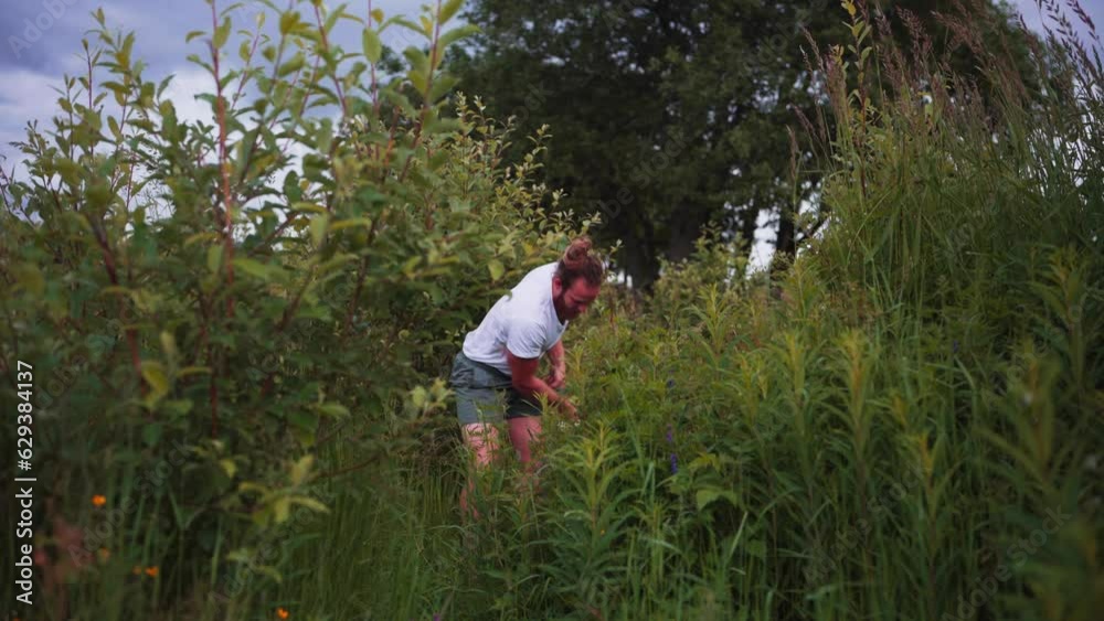 Man Cutting Grass With A Sickle From The Yard - wide Man Cutting Grass With A Sickle From The Yard - wide
