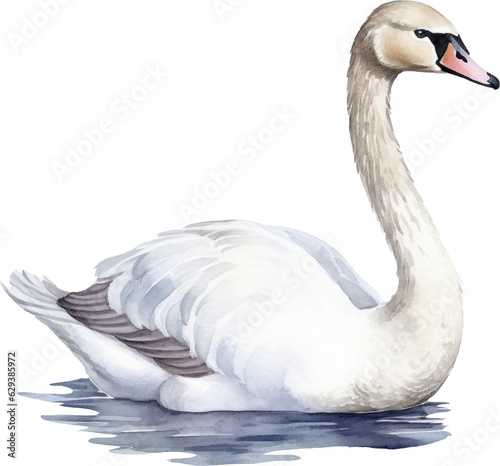 Watercolor white swan illustration. Generative AI