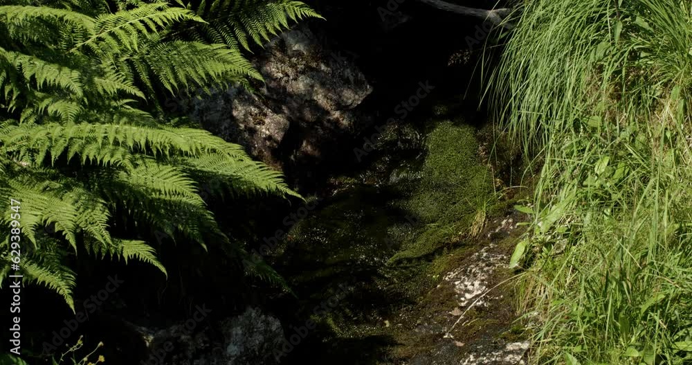 Summer in Norway. Beautiful waterfall на rocky cliff covered in bright green moss, lichens and small plants. Summer in Norway. Beautiful waterfall на rocky cliff covered in bright green moss, lichens and small plants.