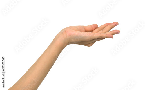 Bilde på lerret An elegant woman's hand extended forward, her fingertips gently curled as if to grasp something invisible, set against a spotless white background