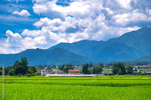 夏の安曇野　穂高の風景