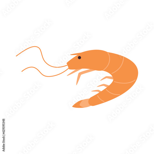 shrimp drawing. flat vector illustration.