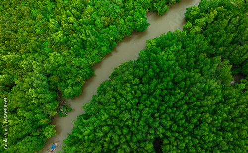 Aerial view of dark green forest and river. Rich natural ecosystem of rainforest. concept of natural forest conservation 