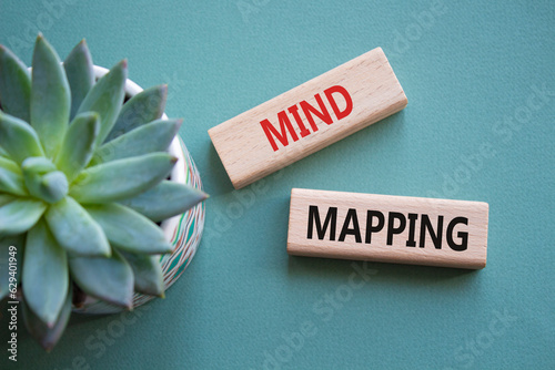 Mind Mapping symbol. Concept word Mind Mapping on wooden blocks. Beautiful grey green background with succulent plant. Business and Mind Mapping concept. Copy space