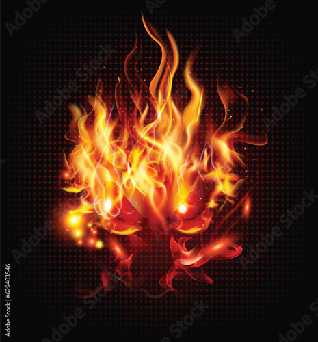 flames of fire on a black background. Close-up of Blaze fire flame at night. 