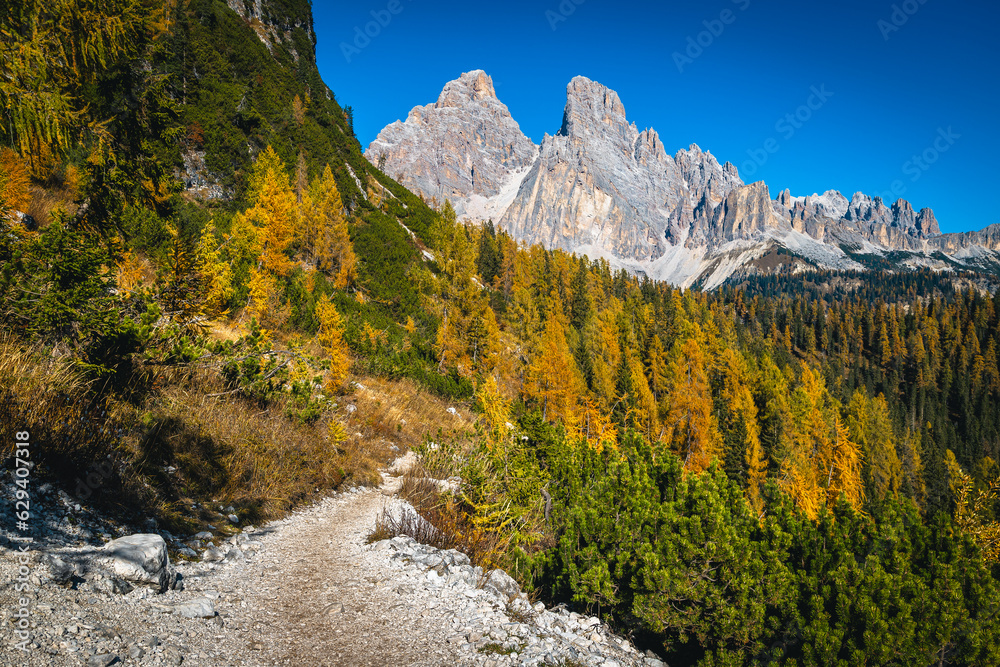 Gravel hiking trail in the autumn forest, Dolomites, Italy Gravel hiking trail in the autumn forest, Dolomites, Italy