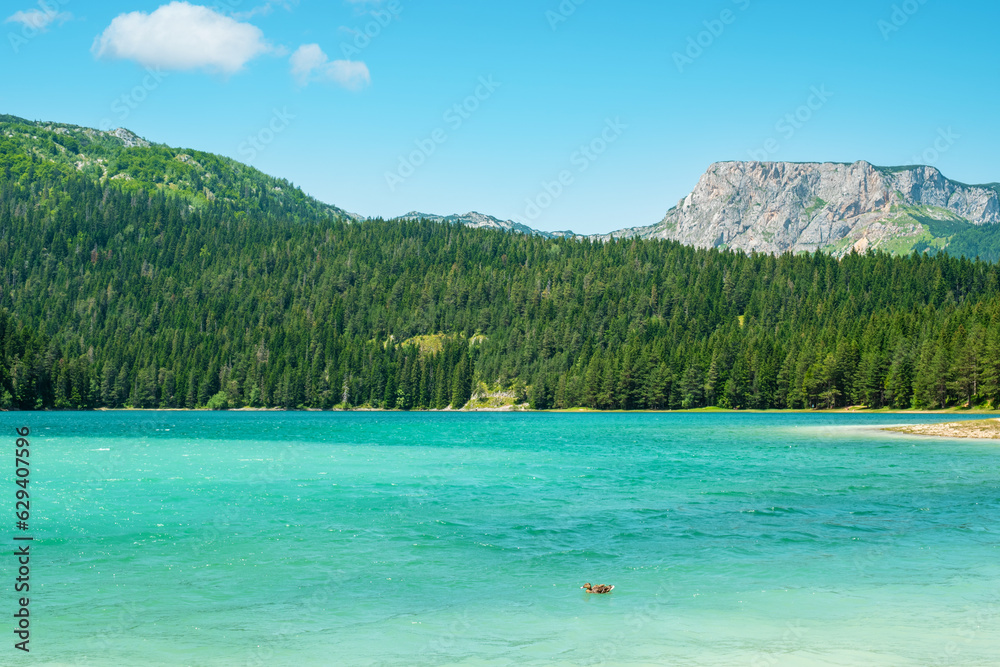 Black Lake. Durmitor, Montenegro