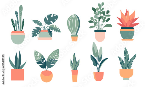 Flat vector illustration in Scandinavian style. Collection of home flowers in pots on white background . Vector illustration