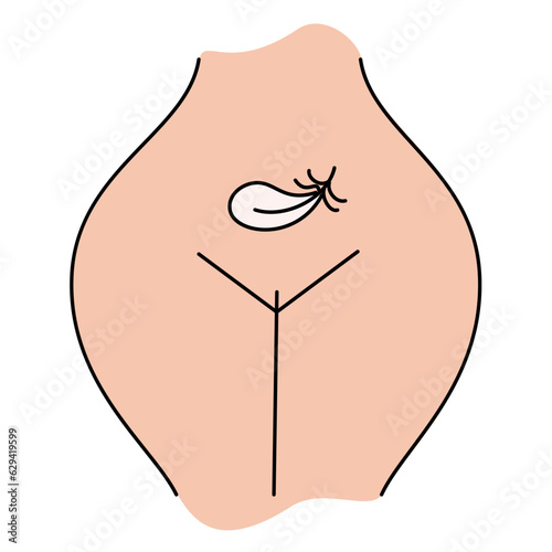 Female body and women's hygiene and health concept. Menopause, Gynecology and care for women's sexual health. Maternity and pregnancy sign. Illustration in cartoon style