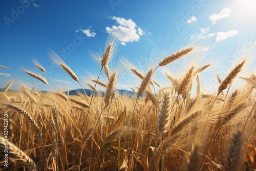 Field Of Golden Wheat, Generative AI