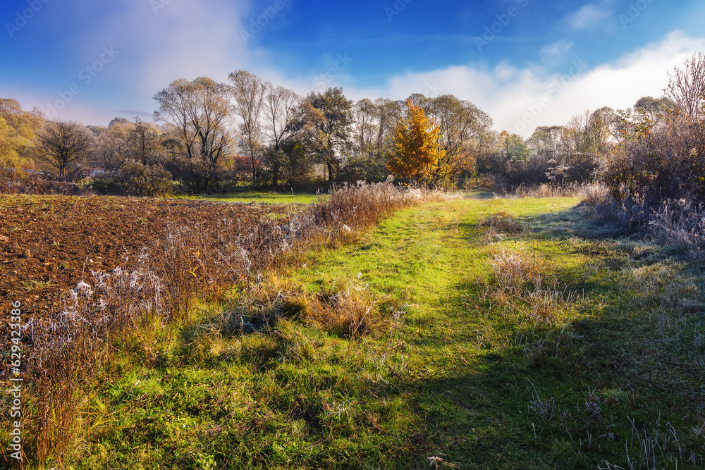 scenery of carpathian farmland in autumn. remote rural landscape in mountains