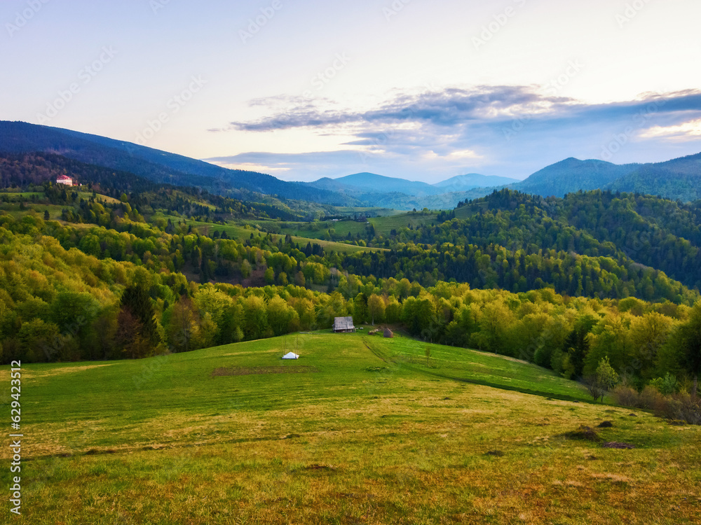 Obraz premium natural beauty of the rural landscape. grassy rolling hills in evening light. mountain ridge in the distance