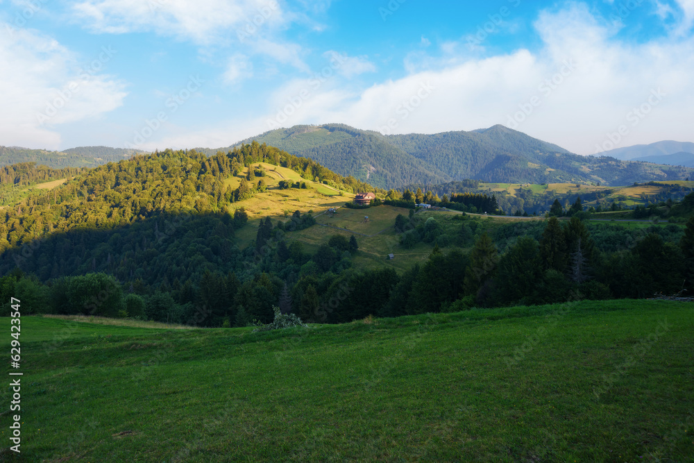 mountainous carpathian countryside in the morning. perfect outdoor experience in nature