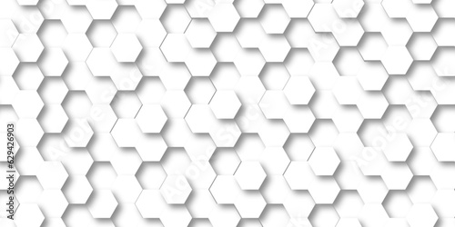 Background with white and black lines 3d Hexagonal structure futuristic white background and Embossed Hexagon , honeycomb white Background ,light and shadow ,Vector. © MdLothfor