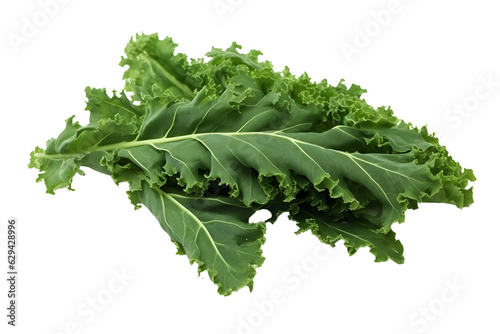 A bunch of curly kale leaves, showcasing their deep green color and unique texture on white background -  Generative AI