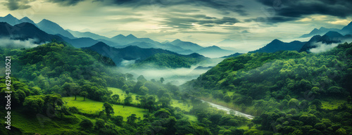 Cloudy Tropic Mountain View: Foggy Jungle Panorama