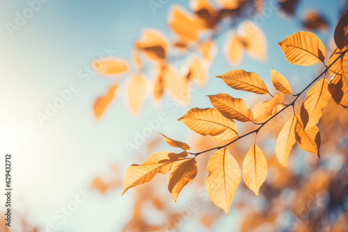 Beautiful natural autumn background - sunlight shining through orange, golden yellow tree foliage. Fall in a park, bright sun beams