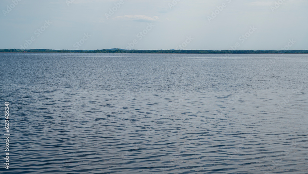 Large water reservoir with a forest on the coast Large water reservoir with a forest on the coast