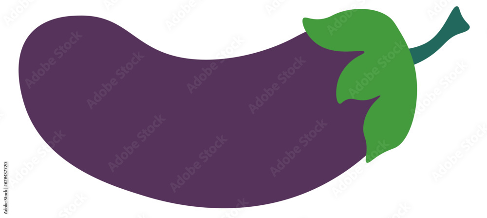 Raw aubergine vegetable, ripe eggplant vector Raw aubergine vegetable, ripe eggplant vector