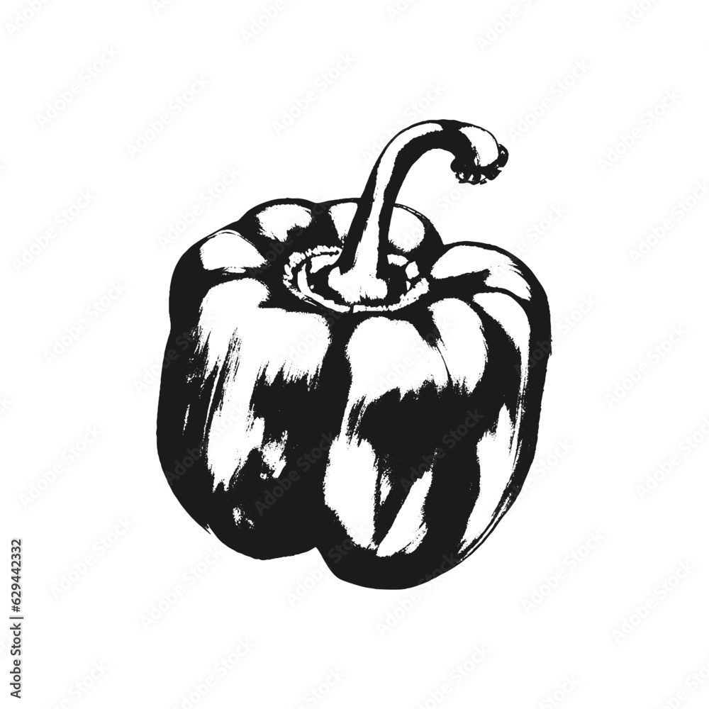 Bell Pepper Hand Drawn Sketch Crop Drawing Vector Illustration Stock ...