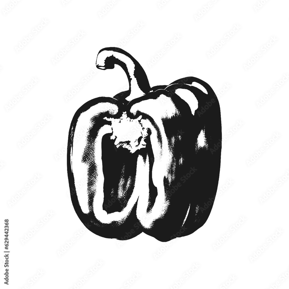 Bell Pepper Hand Drawn Sketch Crop Drawing Vector Illustration Stock ...