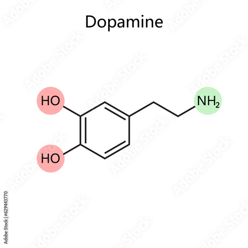 Chemical organic formula of dopamine diagram schematic raster illustration. Medical science educational illustration photo