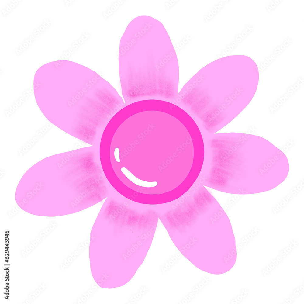 pink flower isolated on white pink flower isolated on white