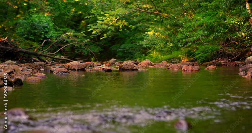Breathtaking view of a flowing river and a beautiful forest, creating a harmonious and serene landscape that captivates the senses Breathtaking view of a flowing river and a beautiful forest, creating a harmonious and serene landscape that captivates the senses