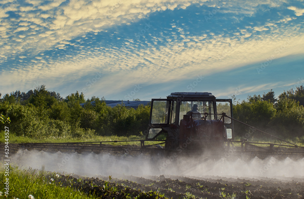 Fototapeta premium Spraying crops with herbicides using sprayer mounted on wheeled tractor.