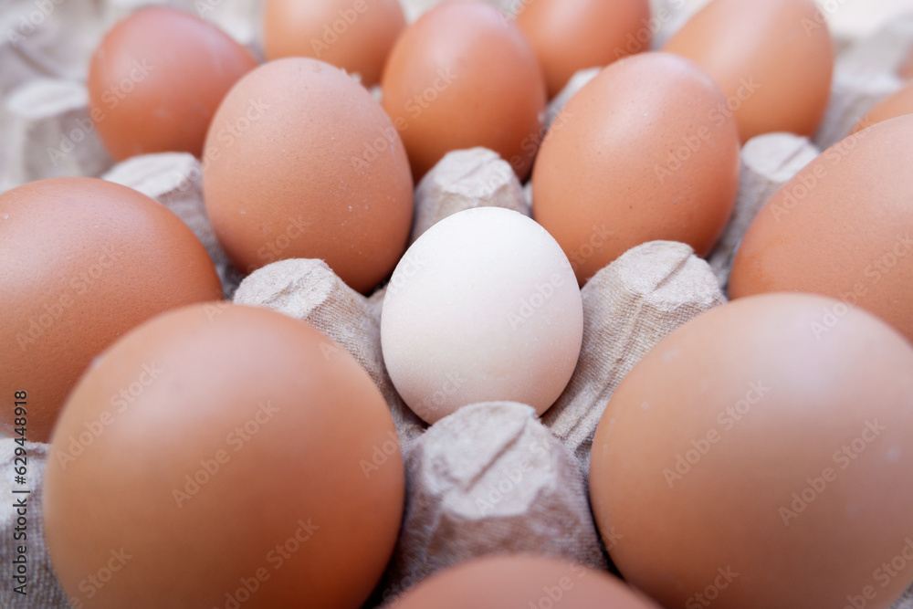 selectively focus on white eggs among brown eggs. soft focus. for the concept of mixed photos even though they are different and not racist selectively focus on white eggs among brown eggs. soft focus. for the concept of mixed photos even though they are different and not racist