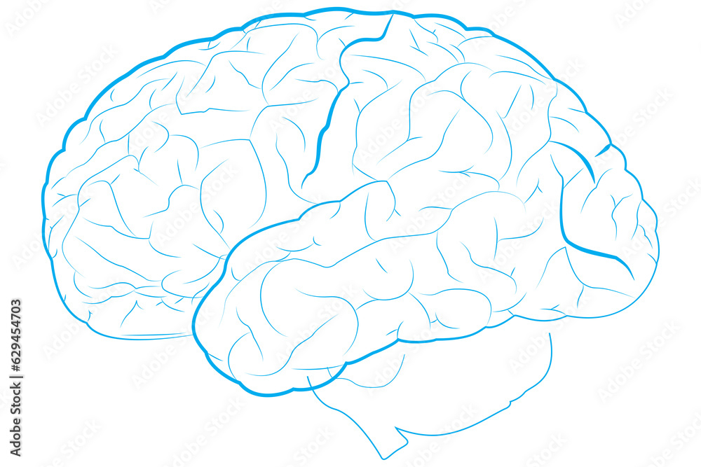 Digital png illustration of blue human brain outline on transparent background