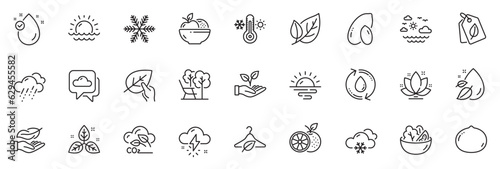 Icons pack as Orange, Slow fashion and Vitamin e line icons for app include Rainy weather, Refill water, Organic tested outline thin icon web set. Peanut, Fair trade, Snow weather pictogram. Vector