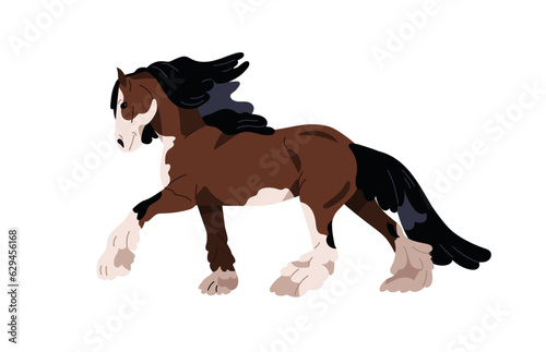 Draft draught heavy horse of Shire breed. Carthorse, work stallion walking. Purebred steed with feathering on legs, mane, long hair. Flat graphic vector illustration isolated on white background. © Good Studio