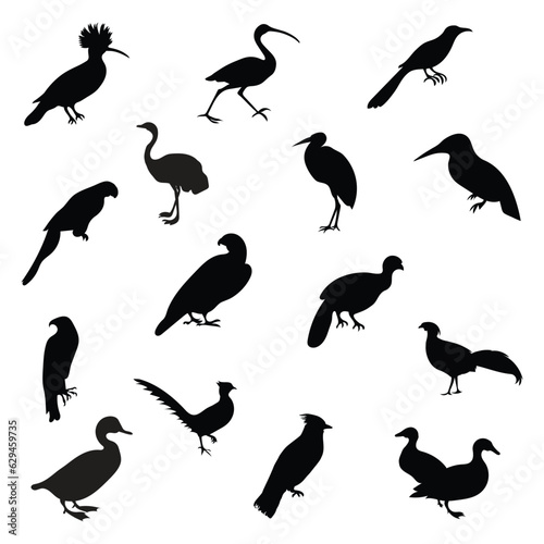 Collection of birds silhouette pro vector.