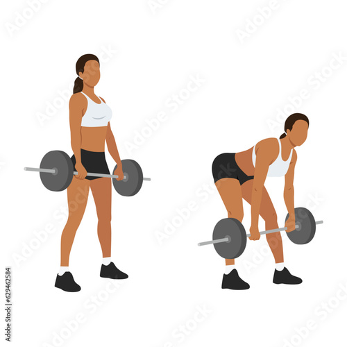 Woman doing Barbell romanian deadlifts exercise. Flat vector illustration isolated on white background