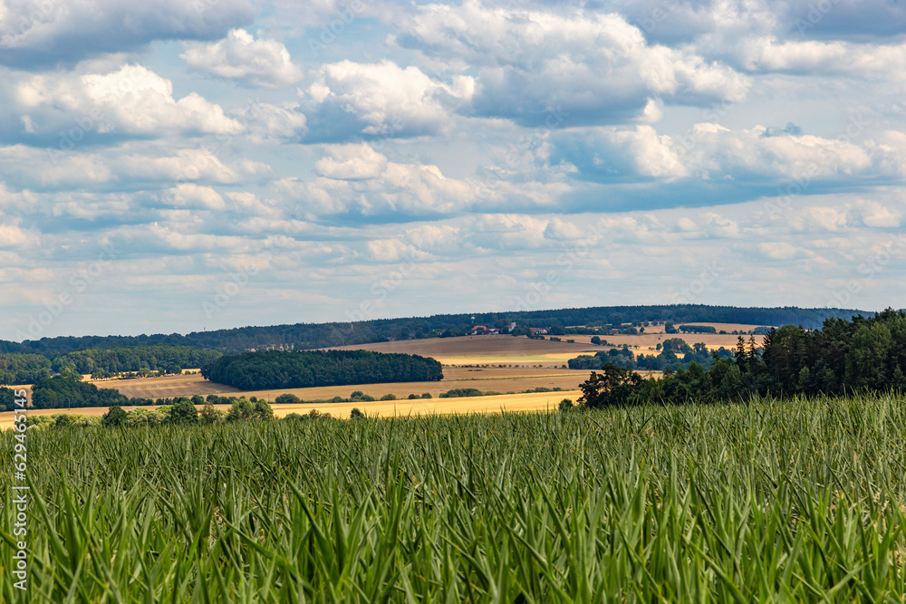 Fototapeta premium Summer landscape with fields and forests in the Czech Republic