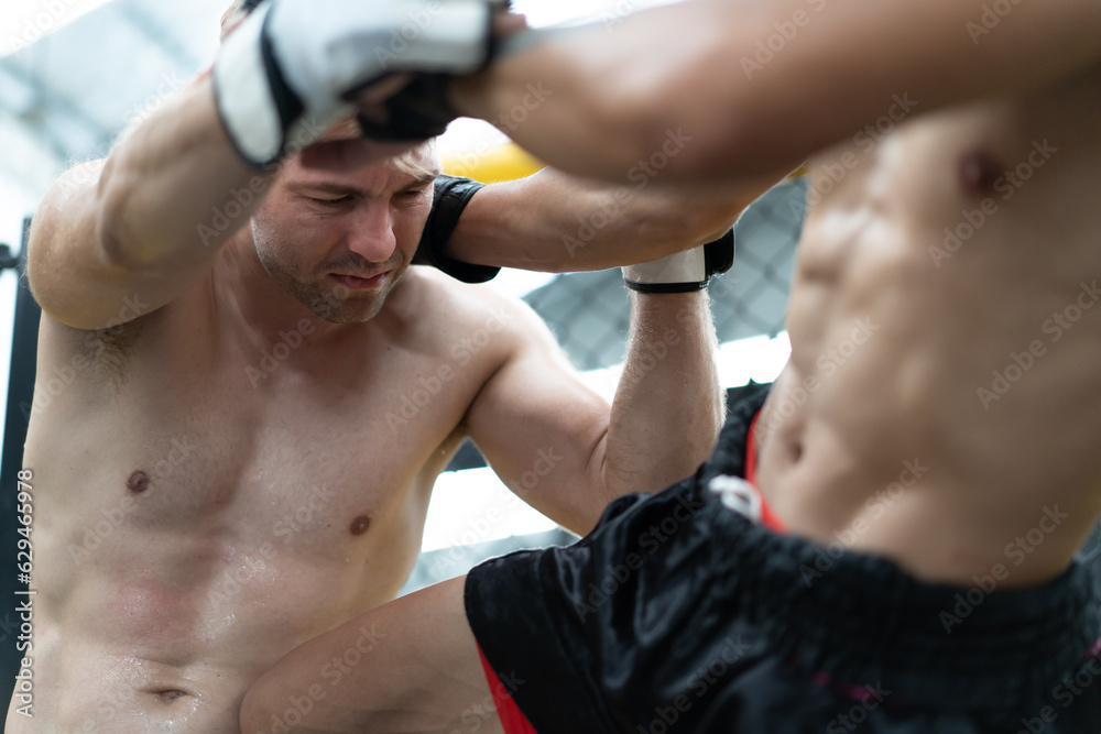 Two male athlete boxing competition in MMA ring. Diverse ethnic men ...