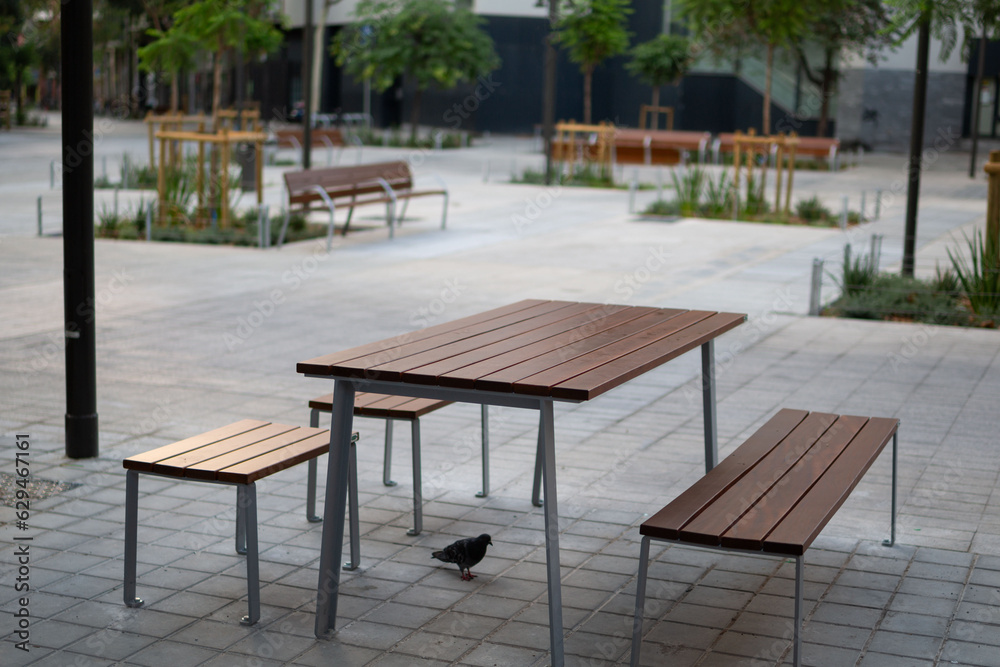 Recreation area, benches, tables on a green street in a modern city. Freedom from transport.