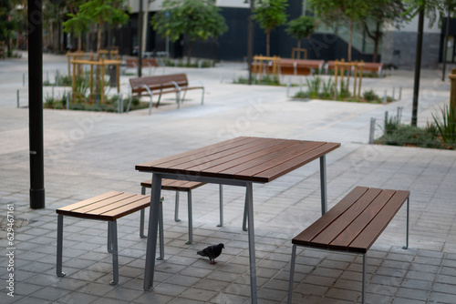 Recreation area  benches  tables on a green street in a modern city. Freedom from transport.