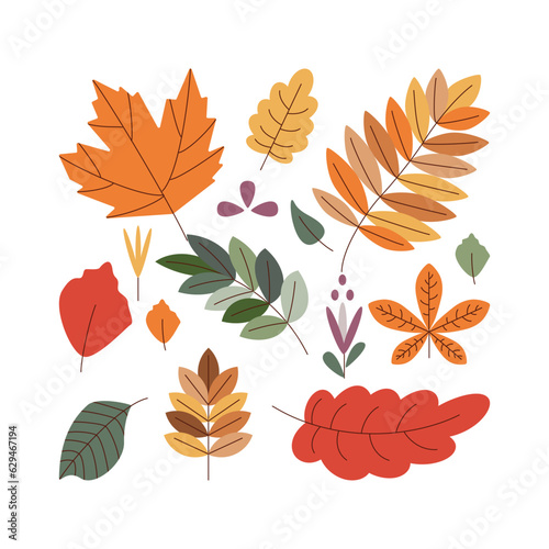Leaf. Hello autumn. Autumn season element, icon.