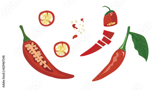 Chilli vector set. Chilli cut in half. Chopped. Chilli spices. Flat vector in cartoon style. Pepper. Fresh spices. Hot spices. 