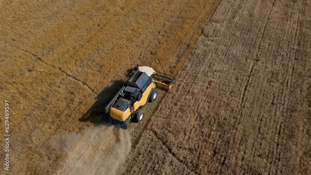 Harvesting machine working at agricultural field. Combine harvester collecting golden wheat field. Harvest reaping season Harvesting machine working at agricultural field. Combine harvester collecting golden wheat field. Harvest reaping season