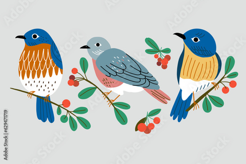 Vector illustration with bullfinches and red berries. Isolated vector illustration with birds.