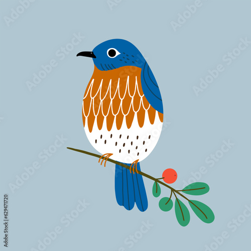 Vector illustration with bullfinch and red berries. Isolated vector illustration with a bird.