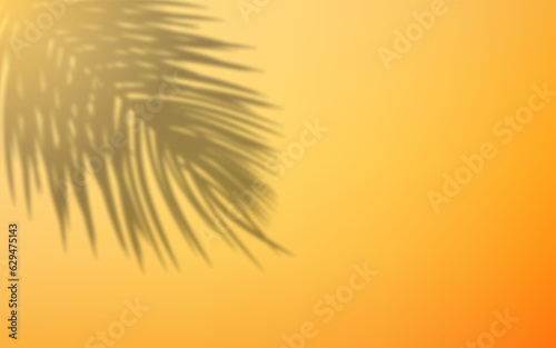 The silhouette or shadow of palm leaves on the orange wall is designed for a summer background.