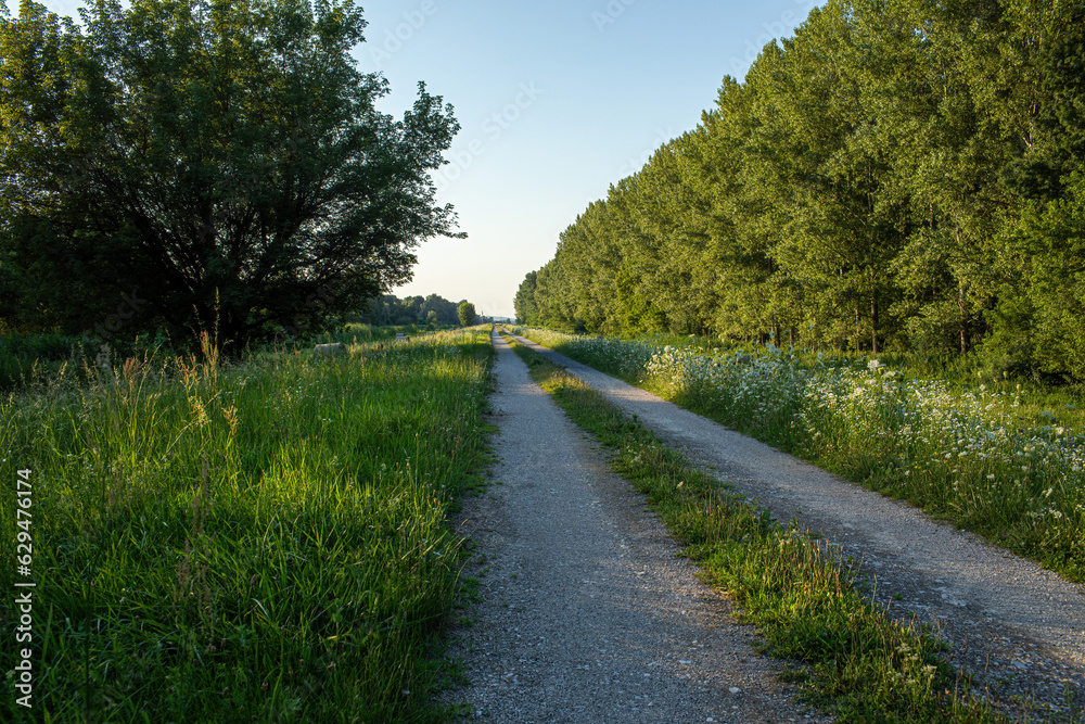 Pathway in nature.Summer season.